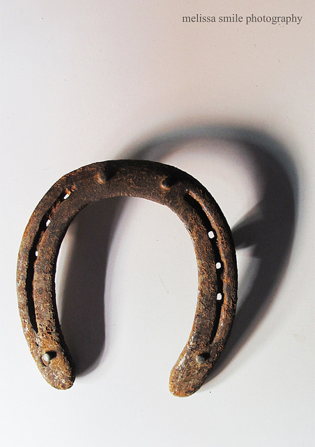 La chance sourit aux audacieux