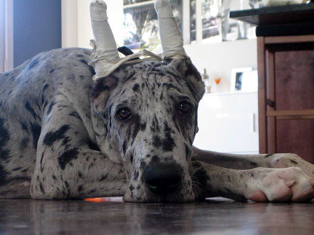 Les premiers soins, ça sert à rien.