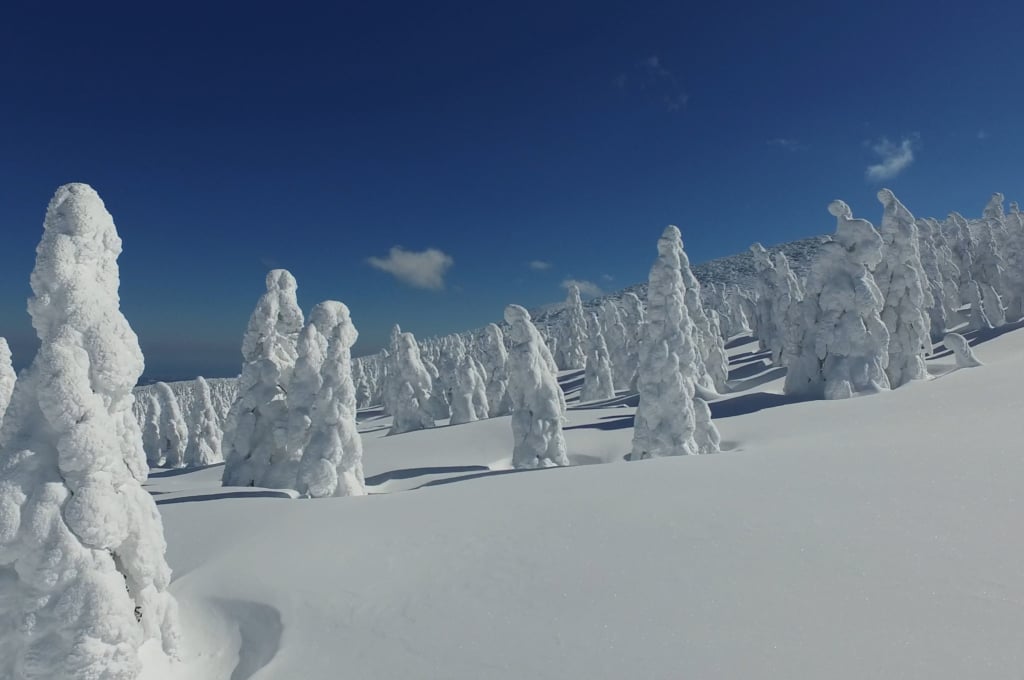 Découvrez l&rsquo;émerveillement hivernal des Juhyo : les arbres de glace du Japon